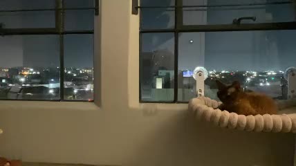 kirill_cutes Chaturbate cam video 2026-08-04 09:59